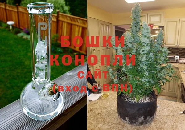 ГАЛЛЮЦИНОГЕННЫЕ ГРИБЫ Арсеньев