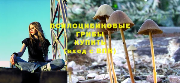 ГАЛЛЮЦИНОГЕННЫЕ ГРИБЫ Арсеньев