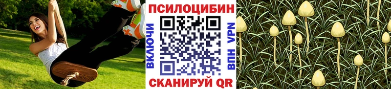Псилоцибиновые грибы мицелий  ОМГ ОМГ зеркало  Бузулук  закладки 